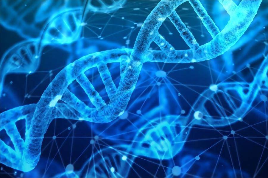DNA测序与分析